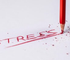 guida gestione stress